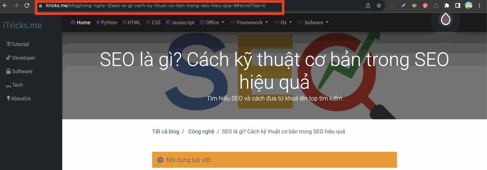 url bài viết seo